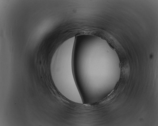 X0000097850429200803140901