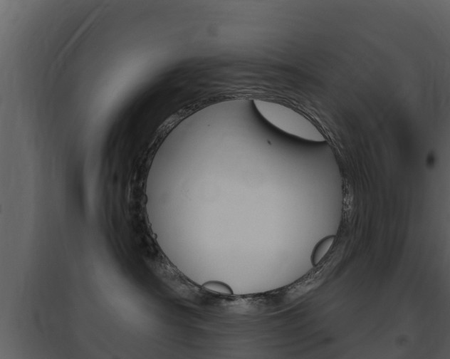 X0000097850430200803140901