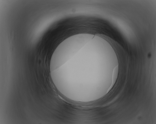 X0000097850431200803140901