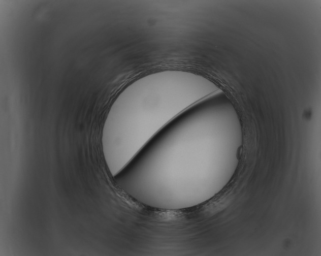 X0000097850432200803140901