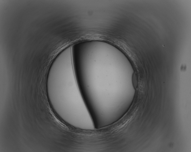 X0000097850433200803140900