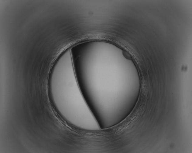 X0000097850434200803140900