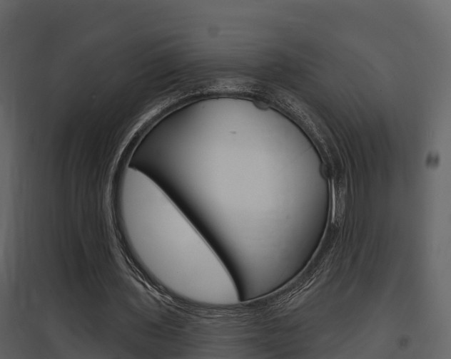 X0000097850435200803140900