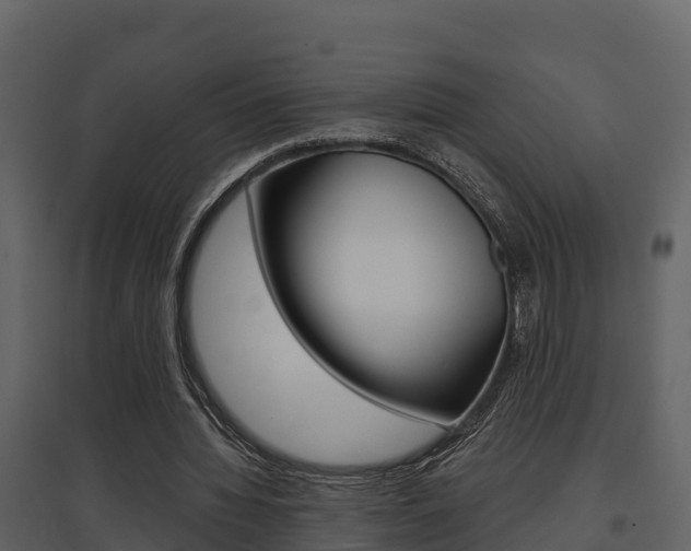 X0000097850436200803140900