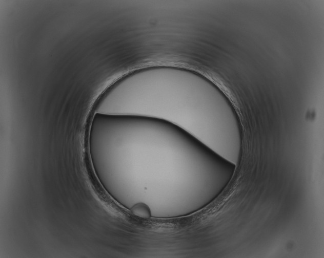 X0000097850438200803140900