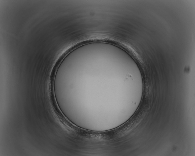 X0000097850439200803140900
