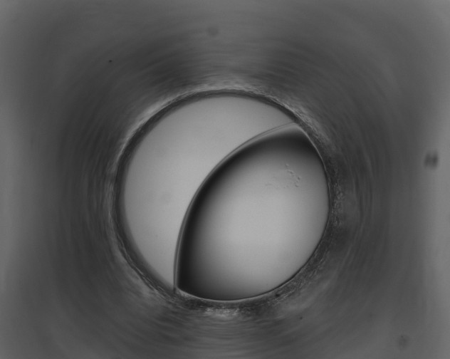 X0000097850440200803140900