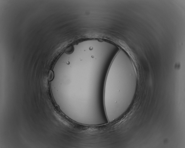 X0000097850441200803140900