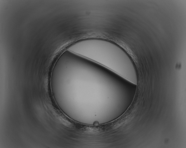 X0000097850442200803140900