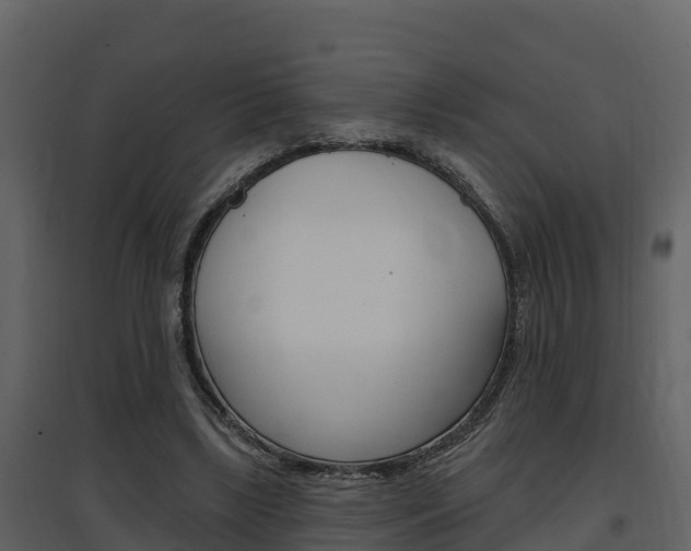 X0000097850443200803140901