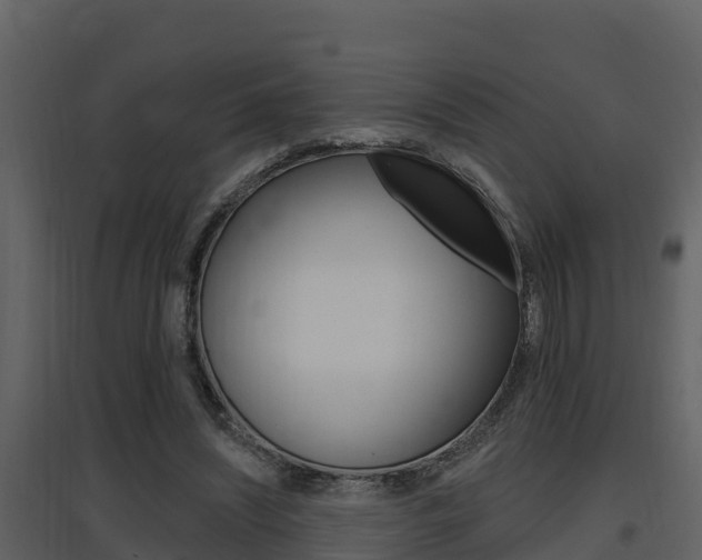 X0000097850444200803140901