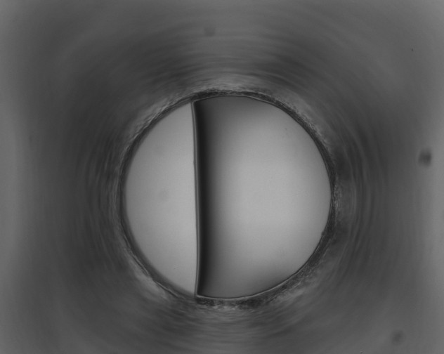 X0000097850445200803140901