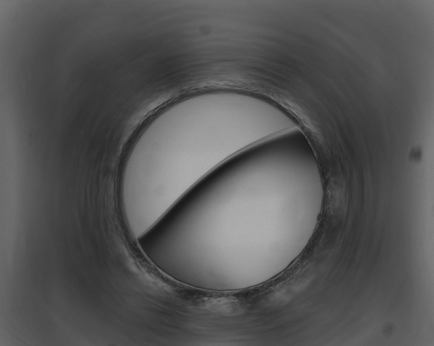 X0000097850446200803140901