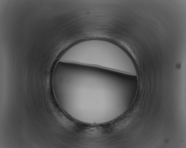 X0000097850447200803140901