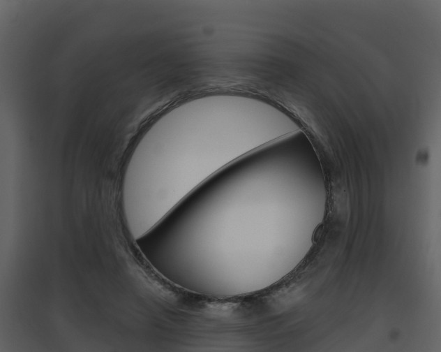 X0000097850450200803140901