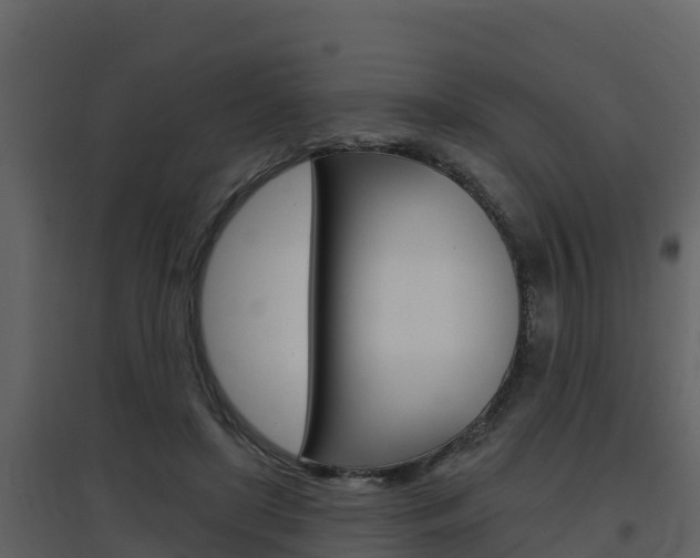 X0000097850451200803140901