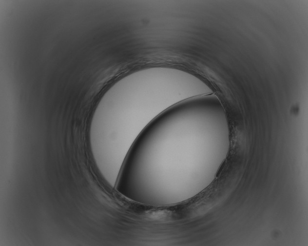 X0000097850452200803140901