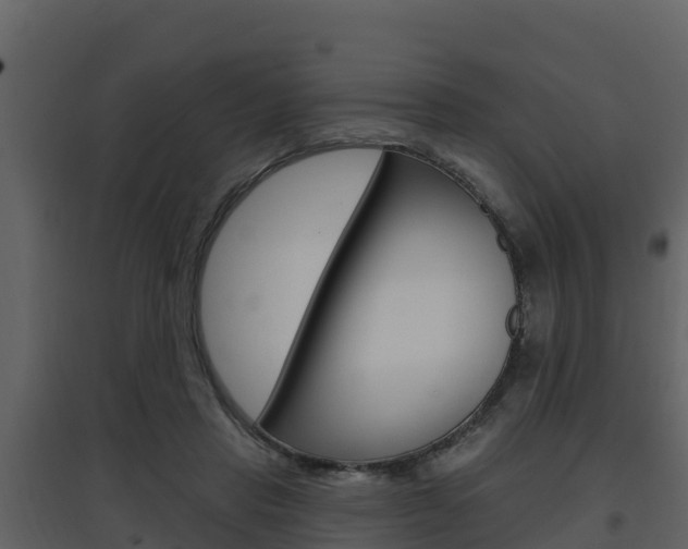 X0000097850453200803140901