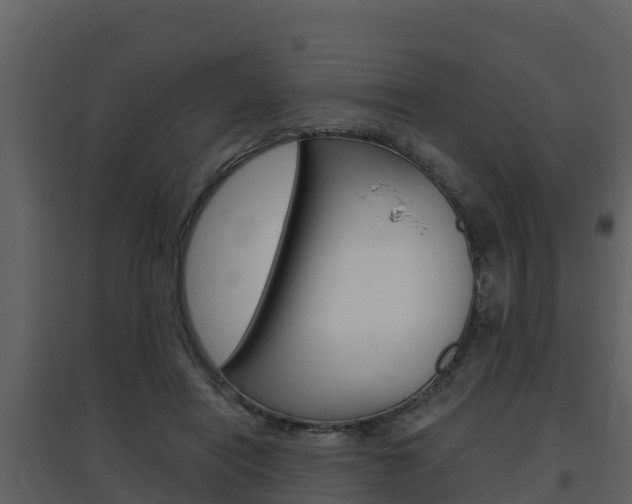 X0000097850454200803140901