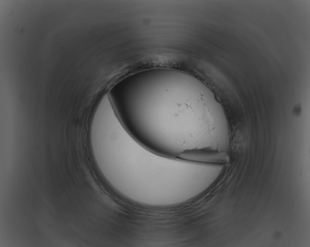 X0000097850456200803140901