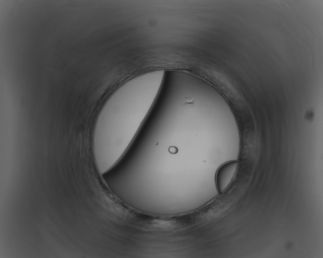 X0000097850457200803140901