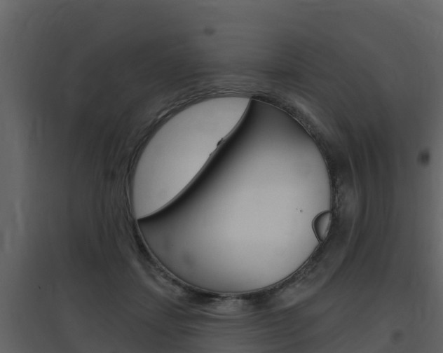 X0000097850459200803140901