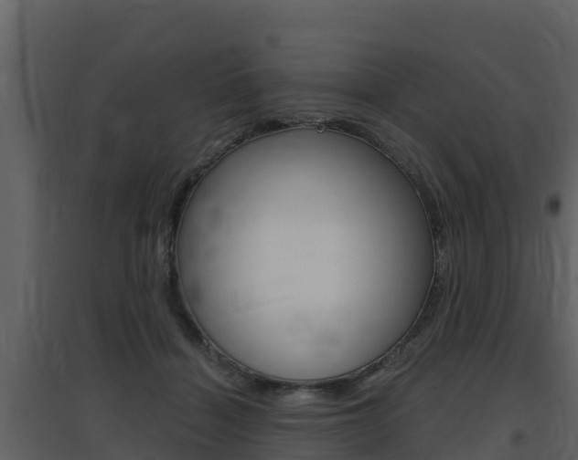 X0000097850460200803140901