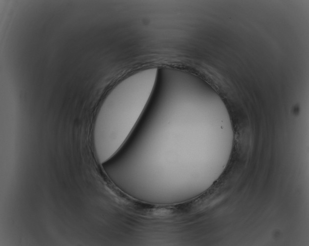 X0000097850462200803140901