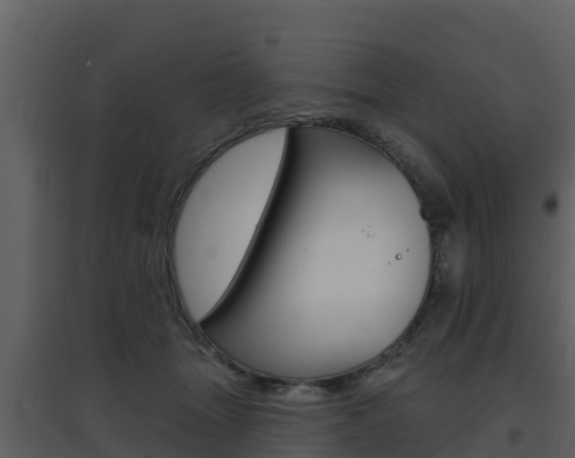 X0000097850463200803140901