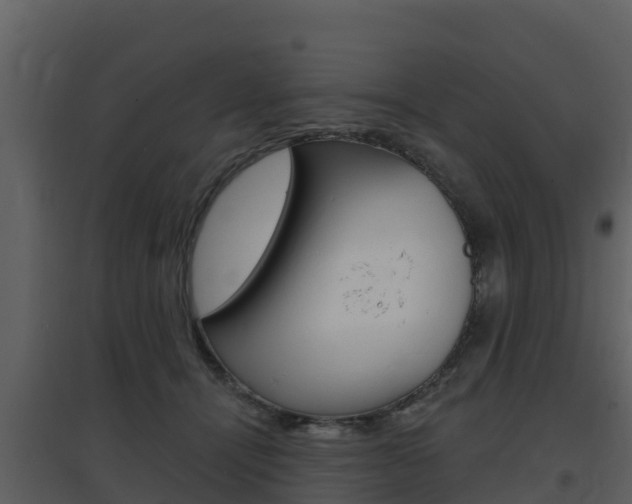 X0000097850464200803140901