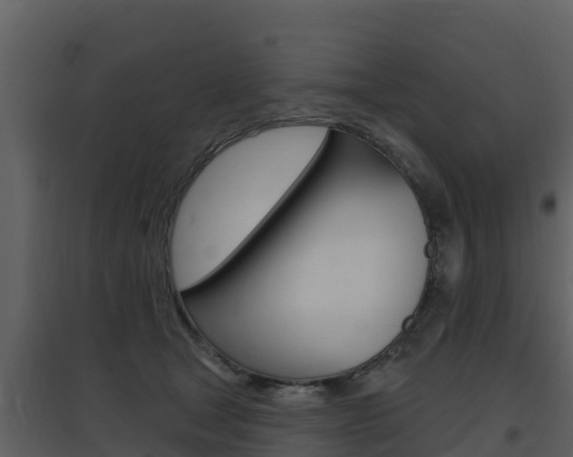 X0000097850465200803140901