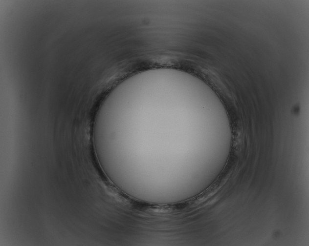 X0000097850466200803140901