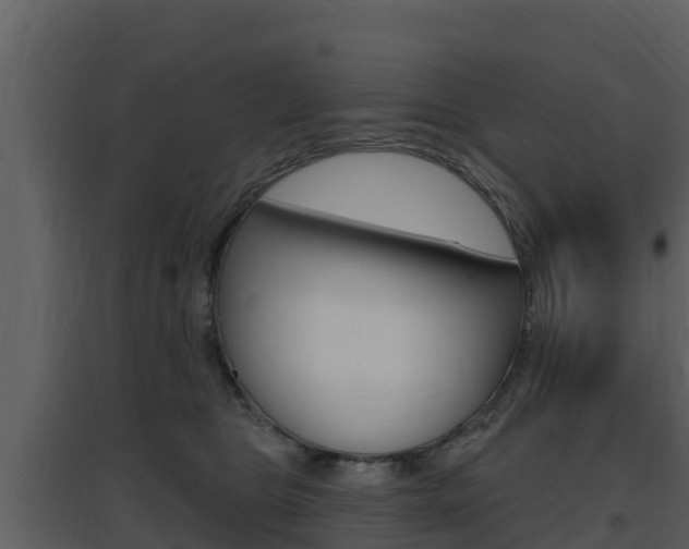 X0000097850469200803140901
