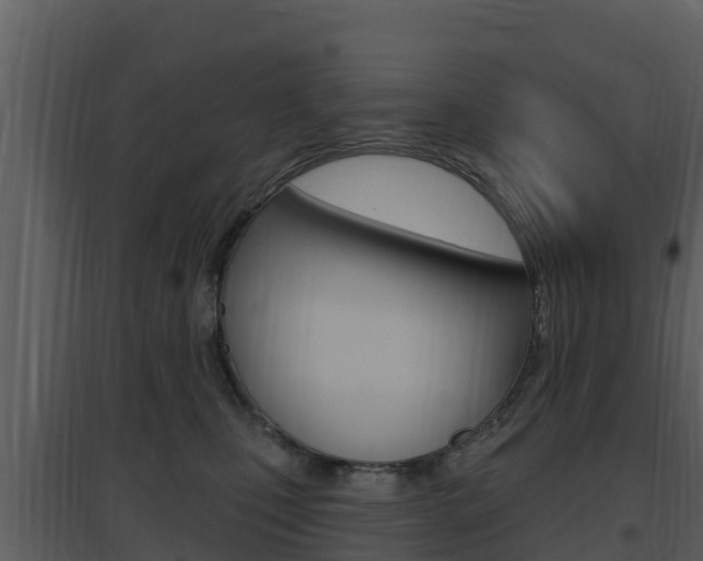 X0000097850471200803140901
