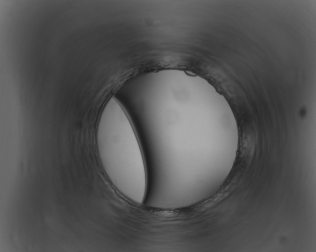 X0000097850473200803140901