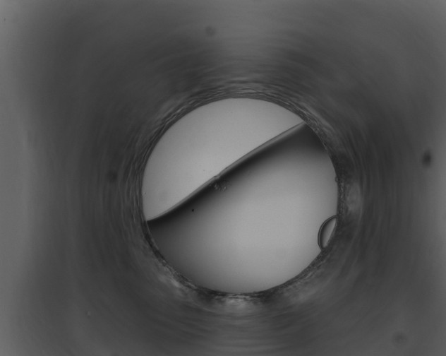 X0000097850475200803140901
