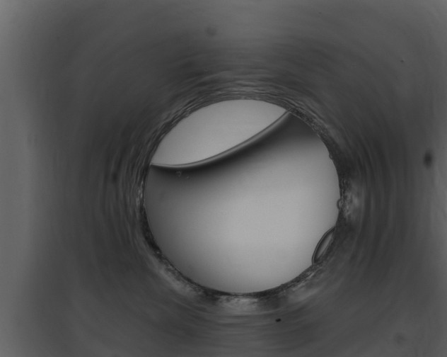X0000097850476200803140901