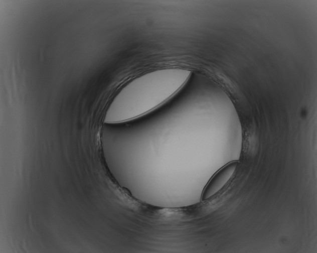 X0000097850477200803140901