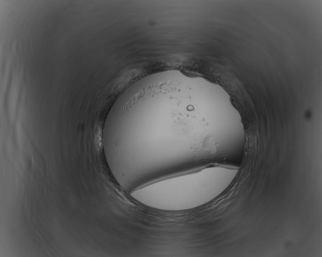 X0000097850479200803140901