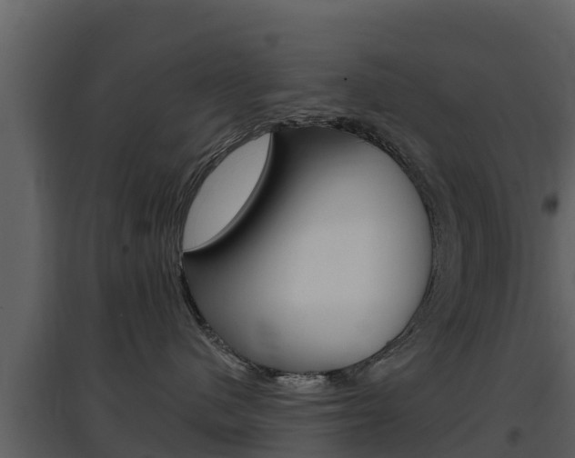 X0000097850480200803140901