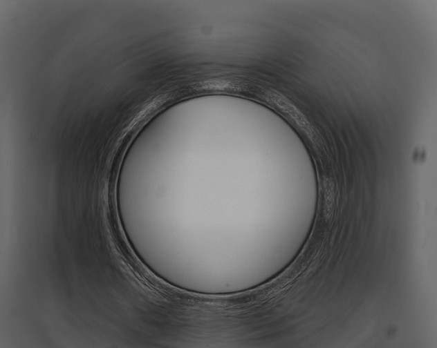 X0000097850482200803140900