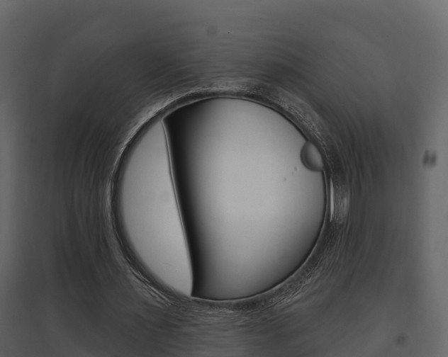 X0000097850483200803140900
