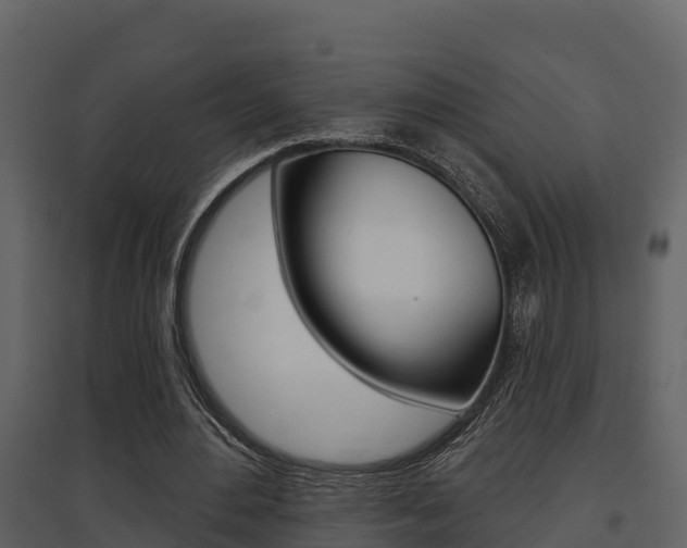 X0000097850484200803140900