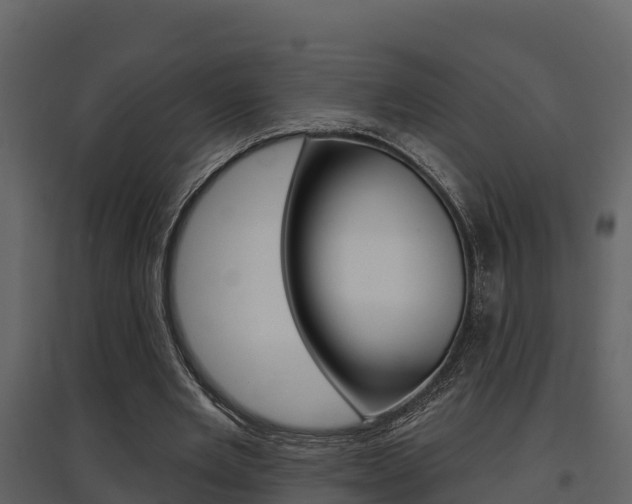 X0000097850485200803140900