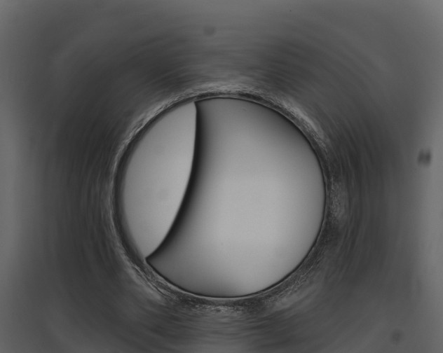 X0000097850486200803140900