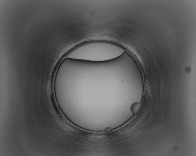 X0000097850487200803140900