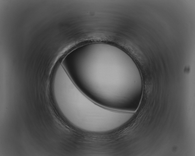 X0000097850488200803140900