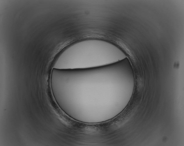 X0000097850490200803140900