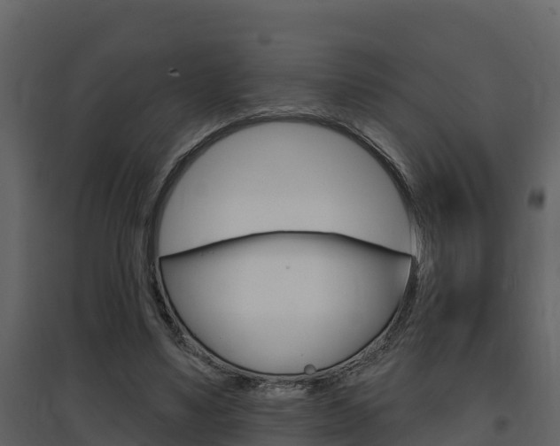 X0000097850491200803140900