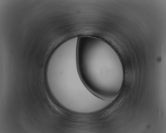 X0000097850493200803140900